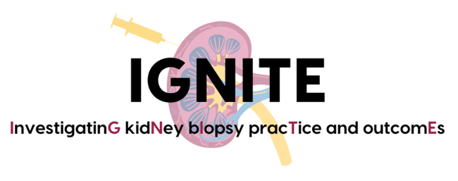 IGNITE NEPHwork project logo