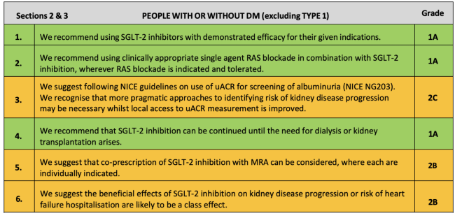 Summary of SGLT2i recommendations for people with or without T2DM