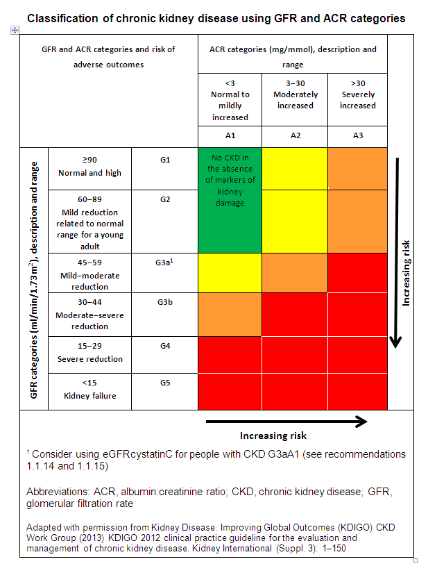 CKD The Basics Chronic Kidney Disease Explained   Gfr 